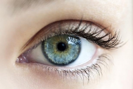 Products for the eye Products for the eye