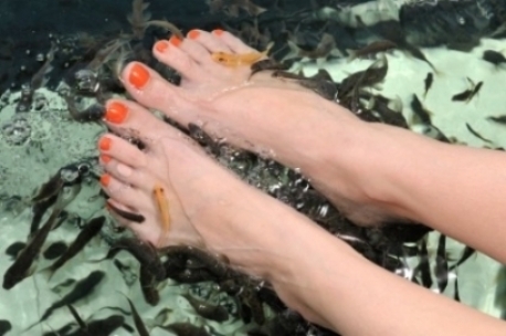 Duo Massage incl. Fish Spa Massage in Nijmegen loaction.